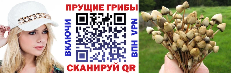 Псилоцибиновые грибы Psilocybine cubensis  где купить наркоту  Слюдянка 